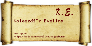 Koleszár Evelina névjegykártya